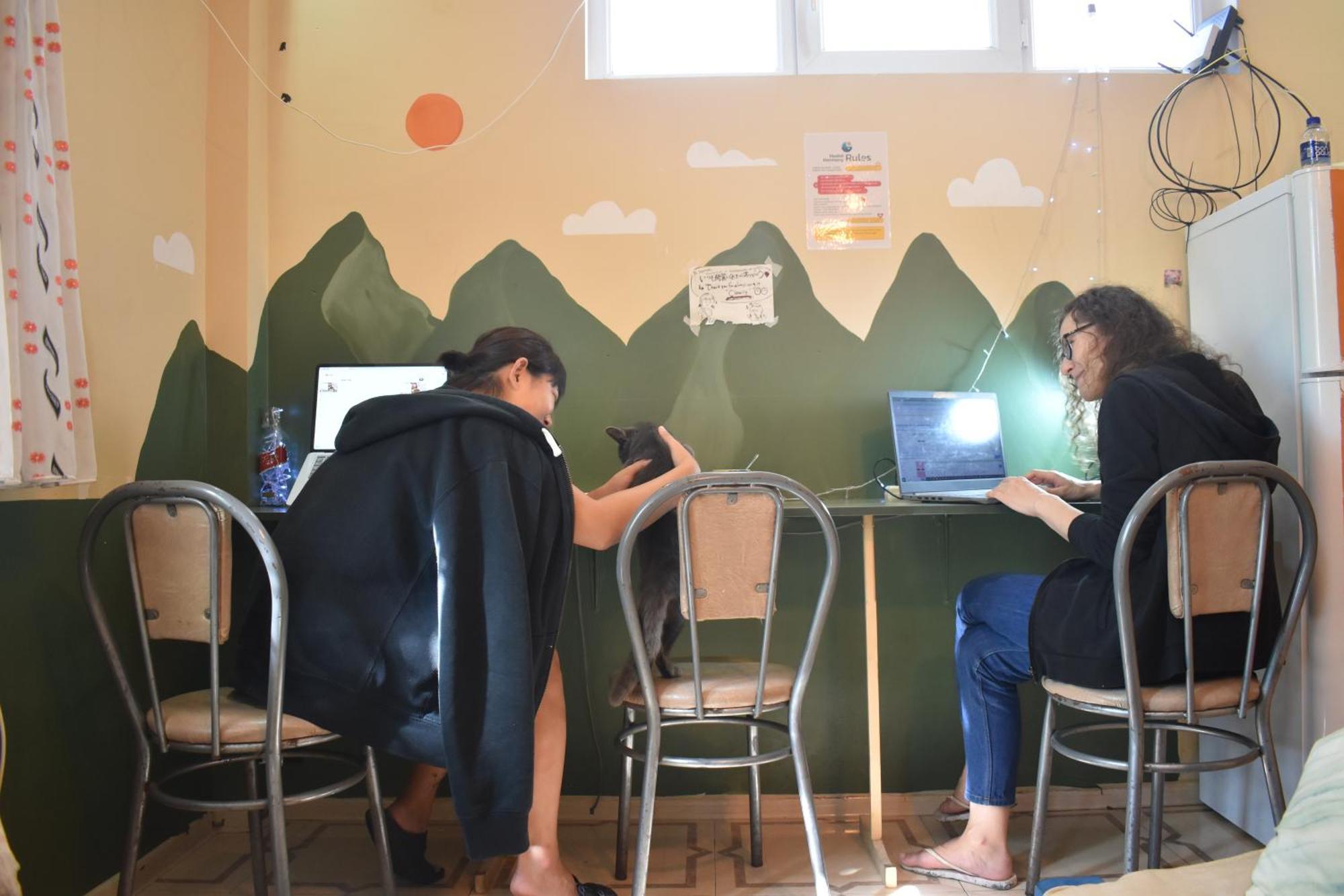 Harmony Backpackers Hostel Батуми Екстериор снимка